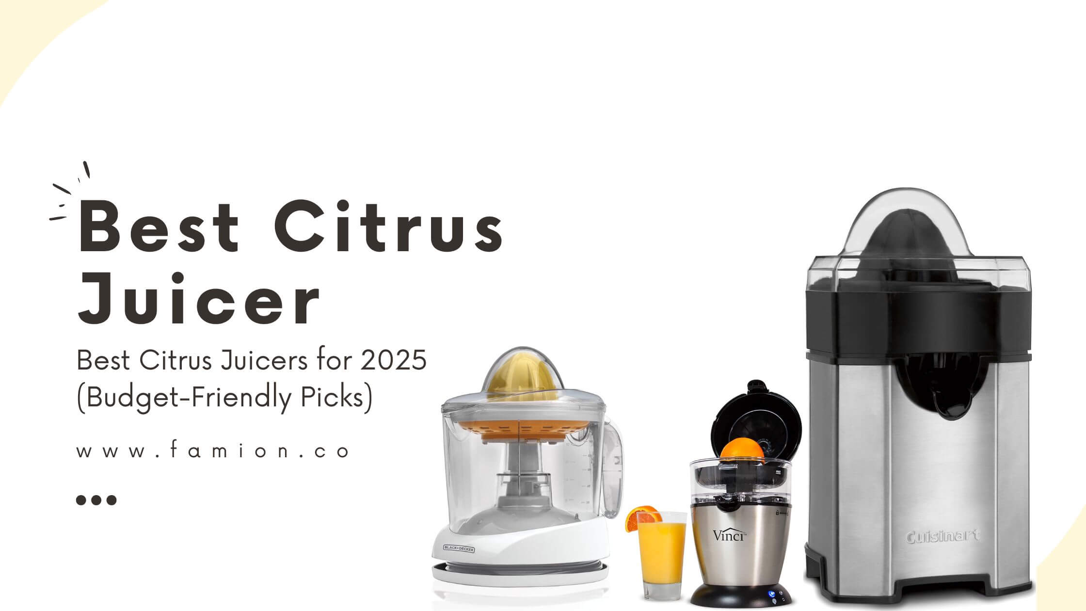 Best Citrus Juicer